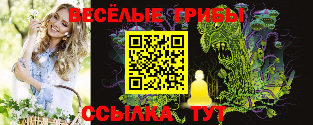 Галлюциногенные грибы Cubensis Курганинск